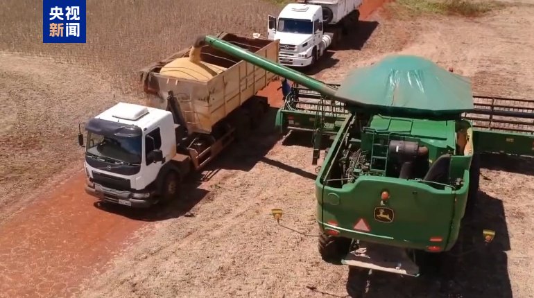 巴西今年大豆出口总量创新高